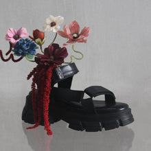 Load image into Gallery viewer, Semeru Platform