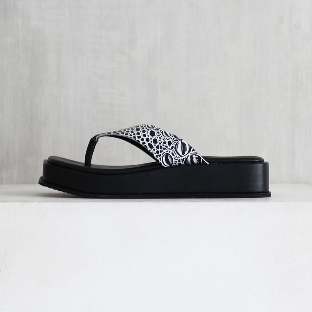Platform Dion dalam Croco