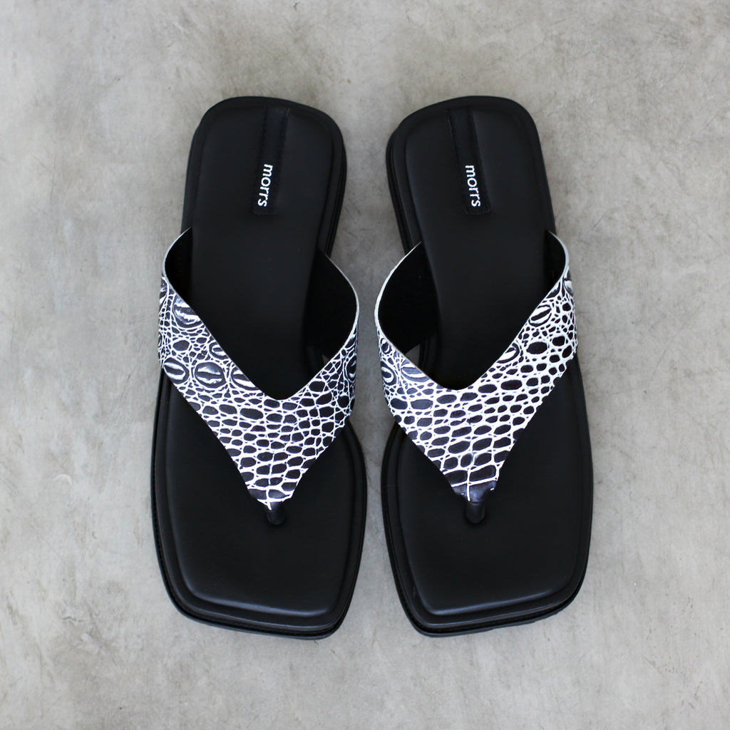 Dion Platform in Croco