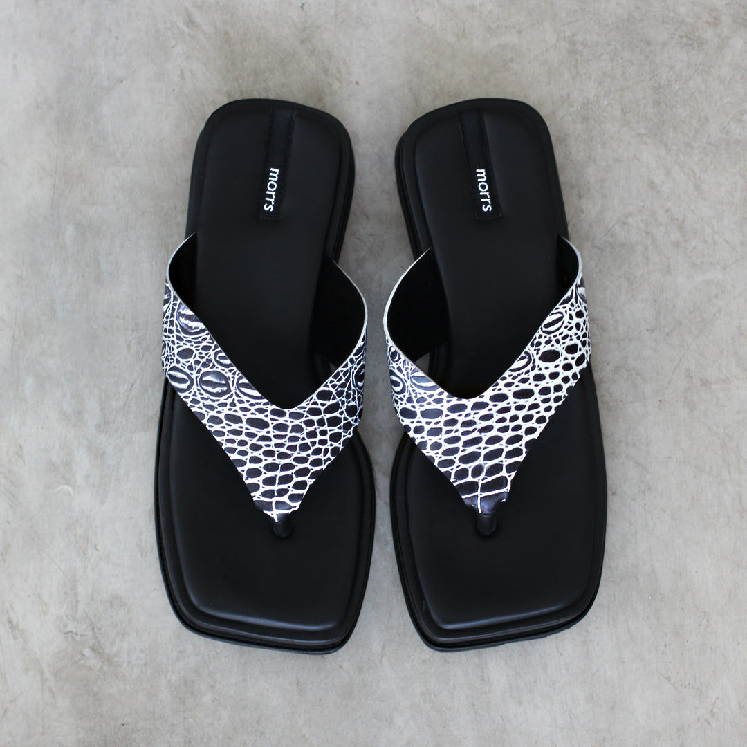 Dion Platform in Croco